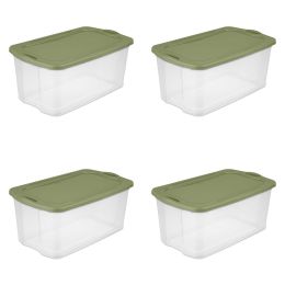 120 Qt. EZ Carry Plastic, Clear/Sage Legume, Set of 4 - Clear/Sage Legume - 4.0