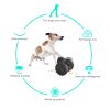 PawPartner Dog Tumbler Interactive Toys Increases Pet IQ Slow Feeder Labrador French Bulldog Swing Training Food Dispenser - Green - China