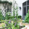 6.2ft Garden Obelisk Trellis; Lightweight Rustproof Plastic Coated Metal Tall Tower Trellis Stand - Black